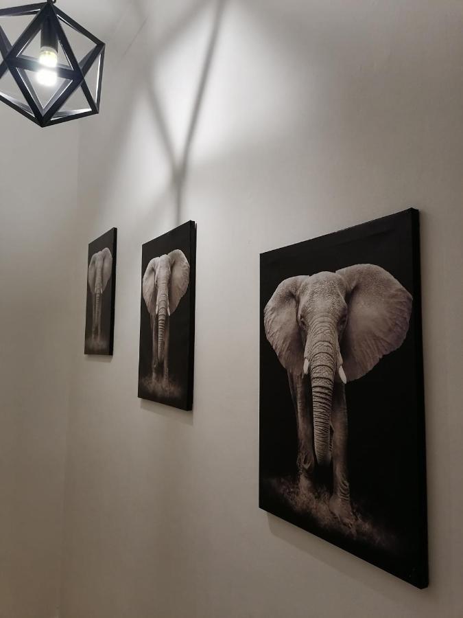 Vichy Nests Windhoek Exterior photo